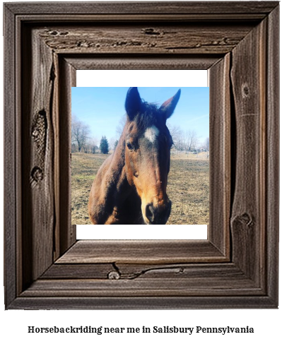 horseback riding near me in Salisbury, Pennsylvania